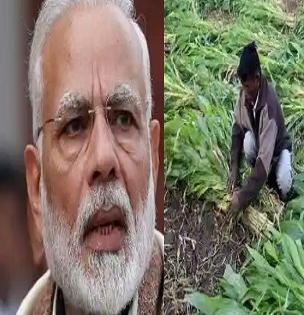 तुम्हीही पीएम किसान योजनेचा नियमबाह्य लाभ घेत असाल तर होऊ शकतो तुरुंगवास!