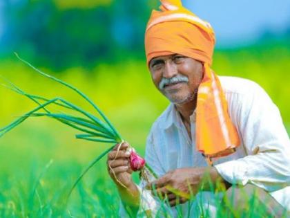 The work of Pradhan Mantri Kisan Yojana is now to the Agriculture Department, The revenue department has not given them a login yet | Kolhapur: ‘पीएम किसान’मध्ये महसूलचाच खोडा; कृषी विभागाला लॉगिनची देईना