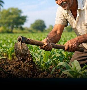 'पीएम किसान'चे २,००० रुपये खात्यात जमा होण्यासाठी 'या' ३ अटी पूर्ण करणे अनिवार्य; मोबाईलवरुनही प्रोसेस होईल