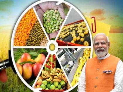 Maharashtra is the leader in Pradhan Mantri Micro Food Processing Industry Scheme | प्रधानमंत्री सूक्ष्म अन्न प्रक्रिया उद्योग योजनेत महाराष्ट्र अग्रेसर