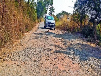 More than 100 potholes on the Ganges-Shiranga road | गहुंजे-शिरगाव रस्त्यावर शंभरहून अधिक खड्डे