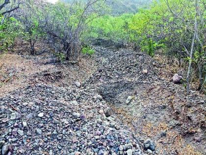 Walnutskari in the Nile, Bhuleeshwar forest area | भुलेश्वर वनक्षेत्रातील ओढ्या-नाल्यांतून वाळूतस्करी