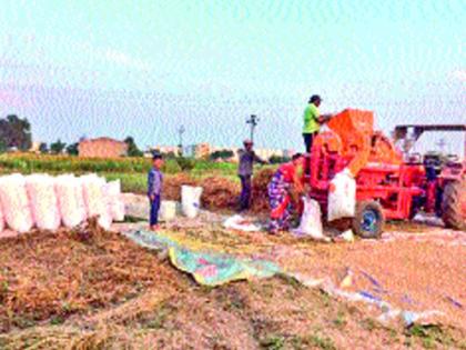 Lack of soybean crops due to fall in rainfall | परतीच्या पावसाने सोयाबीन पिकांचे नुकसान