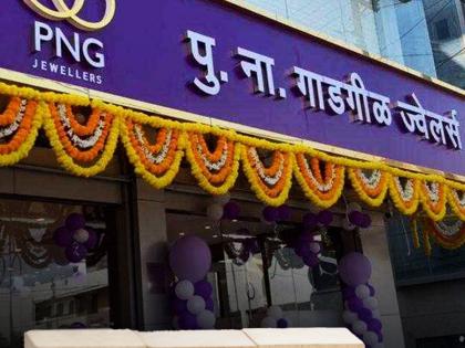 P N Gadgil ज्वेलर्सच्या IPO ला तुफान प्रतिसाद, आयपीओ लागला का नाही? 'असं' करा चेक