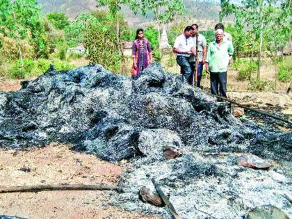 The fishermen's fierce poisonous firing | पळसोशीत जनावरांच्या चाऱ्याची गंजी आगीत खाक