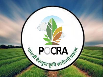 About 550 employees in POCRA Project 1 for farmers have been axed by unemployment | शेतकऱ्यांसाठीचा पोक्रा १ प्रकल्प संपला, सुमारे साडेपाचशे कर्मचाऱ्यांवर बेकारीची कुऱ्हाड