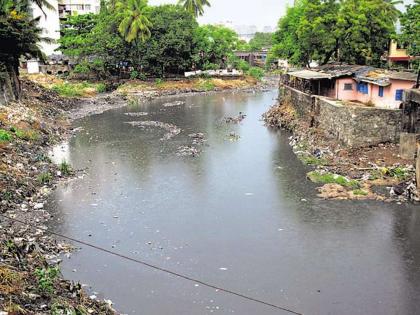 In the suburbs of Dahisar, Poissor and Oshiwara rivers in the western suburbs | पश्चिम उपनगरातील दहिसर, पोईसर आणि ओशिवरा नद्या मृतावस्थेत