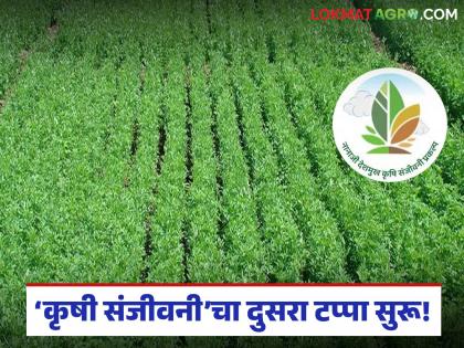 latest news Pokhara 2.0: The second phase of 'Krishi Sanjeevani' has begun; Villages will get the strength to fight climate change | Pokhara 2.0: 'कृषी संजीवनी'चा दुसरा टप्पा सुरू; गावांना मिळणार हवामान बदलाशी लढण्यासाठी बळ latest news Pokhara 2.0: The second phase of 'Krishi Sanjeevani' has begun; Villages will get the strength to fight climate change | Pokhara 2.0: 'कृषी संजीवनी'चा दुसरा टप्पा सुरू; गावांना मिळणार हवामान बदलाशी लढण्यासाठी बळ