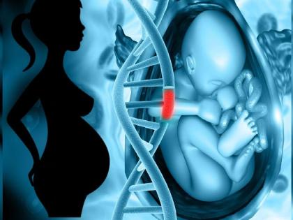 Birth of a healthy child is possible with 'genetic editing' of the fetus says Researcher Smita Pawar | गर्भाच्या ‘जेनेटिक एडिटिंग’ने सुदृढ बालकाचा जन्म शक्य - संशाेधक स्मिता पवार