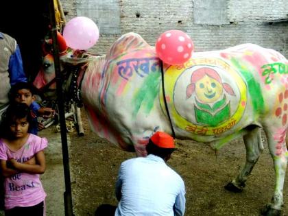 Public awareness about 'Beti Bachao-Beti Padhao' in Holi festival | पोळ्याच्या सणातून ‘बेटी बचाओ-बेटी पढाओ’बाबत जनजागृती