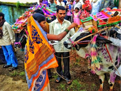 Shravan vrat 2021: Even in the age of modern agriculture, the reason behind the celebration of 'Pola' is 'this' ... | Shravan vrat 2021 : आधुनिक शेतीच्या युगातही 'पोळा' साजरा करण्यामागे आहे 'हे' कारण...