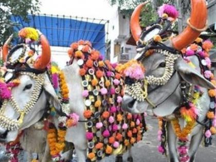 Corona's bite on the Pola; Public celebration canceled | पोळ्यावरही कोरोनाचे सावट; सार्वजनिक उत्सव रद्द