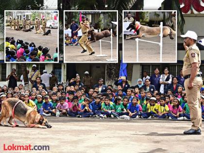 Fantastic exercises of dogs on command; Competition was held in Kolhapur police duty meeting | आदेशावर श्वानांच्या शानदार कसरती; कोल्हापुरात पोलिस कर्तव्य मेळाव्यात रंगली स्पर्धा