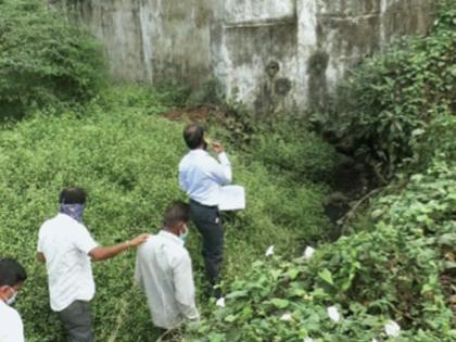 Inspection of paddy fields damaged by contaminated water | दूषित पाण्याने नुकसान झालेल्या भातशेतीची पाहणी