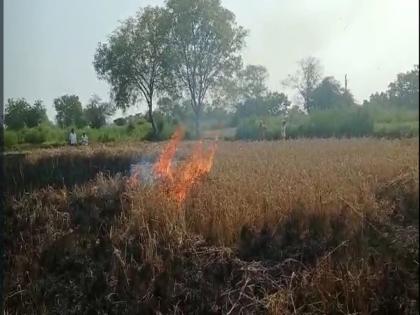 cost one lakh, production not even one rupee, The farmer set fire to four acres of standing paddy | खर्च एक लाख, उत्पादन एक छदामही नाही, शेतकऱ्याने पेटविले चार एकारांतील उभे धान