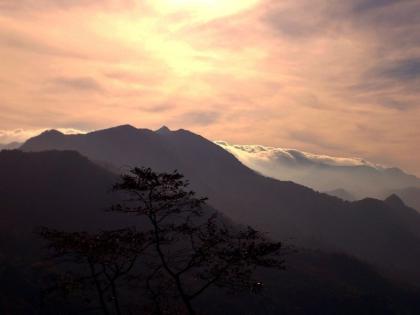 Best destination to enjoy Ponmudi hill station in Kerala | पोनमुडी हिल स्टेशनवर घ्या ट्रेकिंग आणि दुर्मिळ पक्षांना बघण्याचा आनंद!