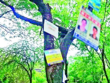 Advertisement on the release of vacant trees, kerachi basket by Commissioner's orders | फुकट्यांची झाडांवरील जाहिरातबाजी सुरूच, आयुक्तांच्या आदेशाला केराची टोपली