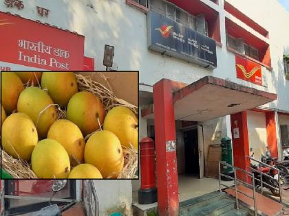 Genuine Organic Devgad Hapus Mangoes from direct post office | आता थेट पोस्टातून मिळणार अस्सल सेंद्रिय देवगड हापूस आंबा; उत्पादक ते ग्राहक सेवेचा उपक्रम