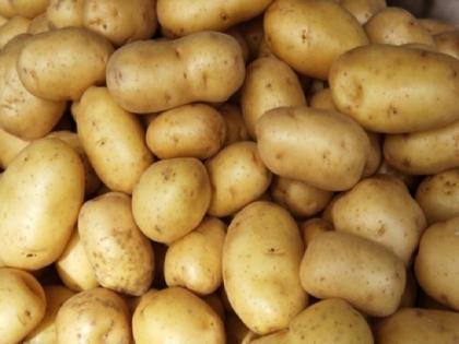 Pleasant! Demand for Aurangabad potatoes from other states | सुखद ! औरंगाबादच्या बटाट्याला परराज्यातून मागणी