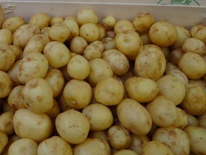 These potatoes are sold at the price of gold, the price of one kilo makes eyes widen | Jara Hatke: सोन्याच्या भावात विकले जातात हे बटाटे, एक किलोची किंमत ऐकून विस्फारतील डोळे, असं आहे वैशिष्ट्य