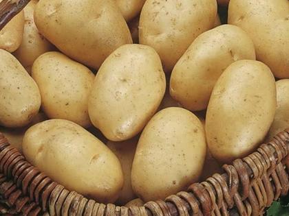 does potato increase your weight know the truth from expert Siddharth Bhargava | बटाटा खाल्ल्याने खरंच आपण बटाट्यासारखे होतो का? तज्ज्ञांनी सांगितलं सत्य