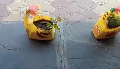 Pots made from cans of oil; A unique initiative of a talented teacher | तेलाच्या कॅनपासून तयार केल्या कुंड्या; प्रतिभावंत शिक्षिकेचा अनोखा उपक्रम