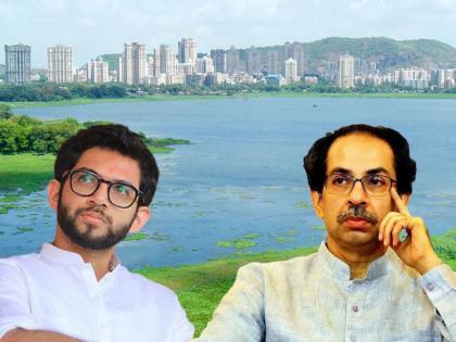 bjp nitesh rane replied shiv sena chief uddhav thackeray over aarey car shed statement | Maharashtra Political Crisis: “पर्यावरणावर प्रेम होते मग पवईत सायकल ट्रॅक बनवताना मुलाला का थांबवले नाही?”