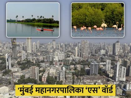 Mumbai municipal Corporation s ward hilly areas settlements created by skilled and unskilled labour | मुंबई मनपा ‘एस’ वॉर्ड; डोंगराळ भाग, कुशल-अकुशल श्रमिकांनी निर्माण केलेली वस्ती