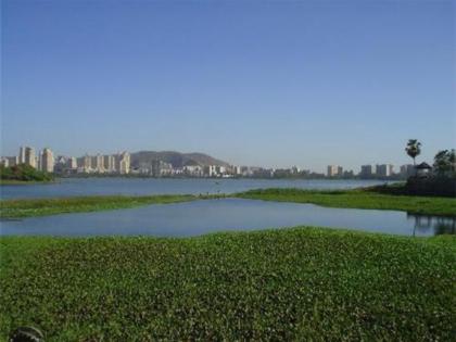 Powai Lake water quality deteriorated; sewage increased silt and algae | पवई तलावाच्या पाण्याचा दर्जा खालावला; सांडपाण्यामुळे गाळ, जलपर्णी वाढली Powai Lake water quality deteriorated; sewage increased silt and algae | पवई तलावाच्या पाण्याचा दर्जा खालावला; सांडपाण्यामुळे गाळ, जलपर्णी वाढली