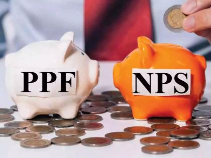 NPS की PPF? करोडपती व्हायचे असेल तर कोणती योजना सर्वोत्तम असेल, जाणून घ्या काय आहे गणित