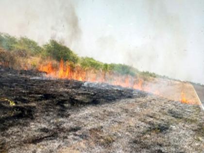 Fire near the runway at Gondur Airport | गोंदूर विमानतळात धावपट्टीजवळ आग