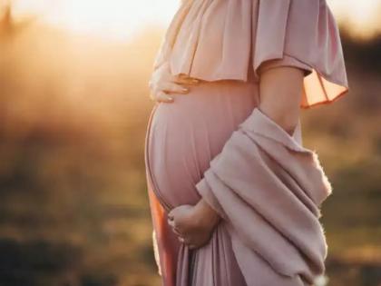 फ्री सेलिब्रेशन पार्टी अन् २ लाख रोख, फक्त 'ती' गर्भवती राहिली पाहिजे; हॉटेल मालकानं दिली ऑफर