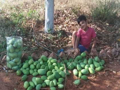 Prakash Raj shares adorable pic of son Vedhanth selling mangoes at their farm PSC | वाचा... का आलीय या अभिनेत्याच्या मुलावर फळं विकण्याची वेळ