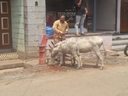 Raj Inamdar, a soybean trader from Pethbhag walwa provided water for the animals | उन्हाच्या झळा, वाळव्यात मोकाट जनावरांसाठी 'माणुसकीचा झरा'