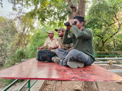 Panvel Leopards become rare in Karnala sanctuary The chirping of the birds is constant | पनवेल: कर्नाळा अभयारण्यात बिबटे झाले दुर्मिळ; पक्ष्यांचा किलबिलाट मात्र कायम