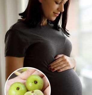 प्रेग्नन्सीमध्ये आवळा खावा की नाही? पाहा डॉक्टरांनी सांगितलं फायदे आहेत की नुकसान