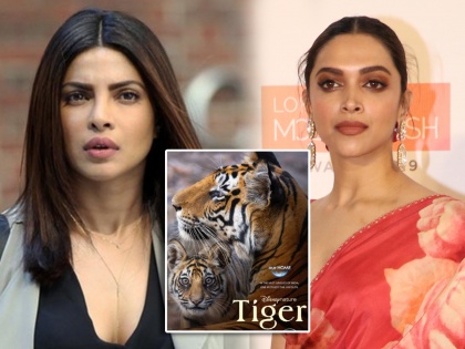priyanka chopra mistakenly tag deepika padukone account while announcing her new tiger movie | नव्या सिनेमाची घोषणा करताना प्रियांकाने दीपिकाच्या बाबतीत केली मोठी चूक, नेटकरी म्हणाले...