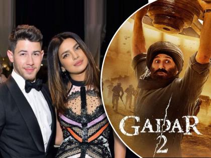 priyanka chopra nick jonas wrote letter to director anil sharma for sunny deol gadar 2 success | सनी देओलच्या ‘गदर २’चं यश पाहून प्रियांका-निक भारावले, दिग्दर्शकाला लिहिलं पत्र, म्हणाले...