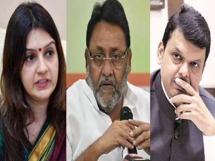 Maharashtra Elections 2024: 'Dawood's friend came close to Shelar and Fadnavis', Priyanka Chaturvedi criticizes | 'दाऊदचा साथीदार फडणवीसांच्या जवळ..', मलिकांच्या उमेदवारीवरुन चतुर्वेदींची बोचरी टीका