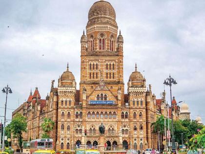 last deadline for property tax arrears bmc also warned of strict penal action if property tax for the financial year 2023 - 24 is not paid by may 25 | मालमत्ता कर थकबाकीदारांना शेवटची डेडलाइन; उद्दिष्टासाठी महापालिकेचे प्रयत्न