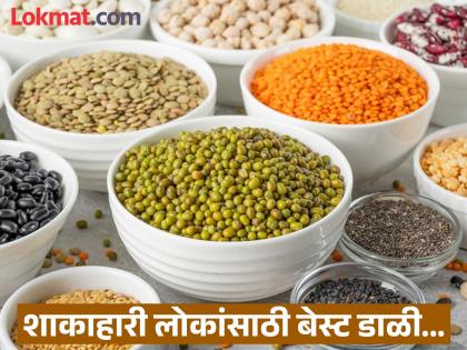 5 pulses with more protein than chicken and mutton | चिकन आणि मटणापेक्षा जास्त प्रोटीन असलेल्या ५ डाळी, शरीराला मिळतात इतरही अनेक फायदे!