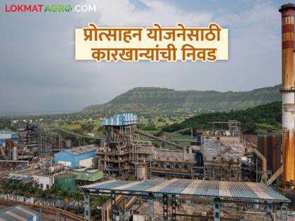 How will the state government select sugar factories for the incentive scheme? What are the criteria? | प्रोत्साहन योजनेसाठी राज्य सरकार कशी करणार साखर कारखान्यांची निवड? काय आहेत निकष? How will the state government select sugar factories for the incentive scheme? What are the criteria? | प्रोत्साहन योजनेसाठी राज्य सरकार कशी करणार साखर कारखान्यांची निवड? काय आहेत निकष?