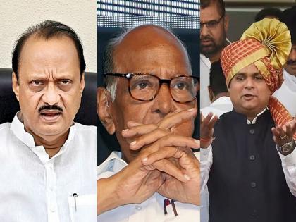 The High Court issued a notice to the MLAs of the Sharad Pawar group along with the Speaker of the Vidhan Sabha | विधानसभा अध्यक्षांसह शरद पवार गटातील आमदारांना हायकोर्टाने बजावली नोटीस