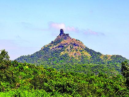 The birds of the Karnal took a deep breath | कर्नाळ्यातील पक्ष्यांनी घेतला मोकळा श्वास