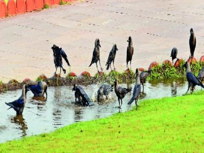 there is a need for help of every animal and birds | उन्हात पशू-पक्ष्यांची होतेय होरपळ, मुक्या जीवांसाठी प्रत्येकाने मदत करण्याची आवश्यकता