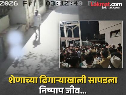 Pune: Nasrapur Girl's Murder Exposes Accused's History of Abuse - English News | Pune: Nasrapur Girl's Murder Exposes Accused's History of Abuse | Latest News at Lokmattimes.com