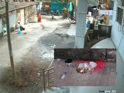 ”दहिभात, लिंबू, हळद-कुंकू आणि नारळ..”; पुणे जिल्ह्यातील या गावात भर दिवसा जादूटोणा? घटनेचे सीसीटीव्ही व्हायरल