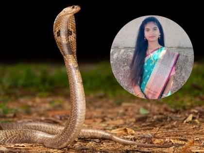 Pune: 15-year-old girl dies of snake bite due to alleged medical negligence | Pune: पुण्यात १५ वर्षीय मुलीला सर्पदंश, वेळेत उपचार न मिळाल्याने मृत्यू Pune: 15-year-old girl dies of snake bite due to alleged medical negligence | Pune: पुण्यात १५ वर्षीय मुलीला सर्पदंश, वेळेत उपचार न मिळाल्याने मृत्यू