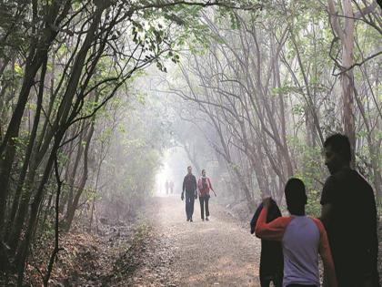 pune the temperature is expected to drop further in the nex of 2 days in maharashtra | Winter News: महाराष्ट्र गारठला; पुढील दोन दिवसात तापमानात आणखी घट होण्याची शक्यता