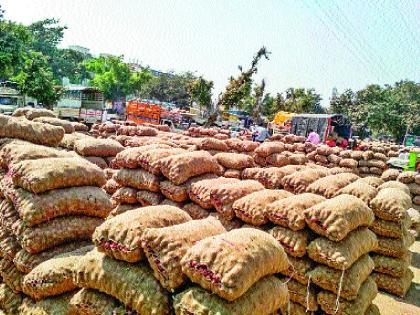  The onion market of onion has broken records in record arrival, 15 years | कांद्याची आळेफाटा बाजारात विक्रमी आवक, १५ वर्षांतील विक्रम मोडला